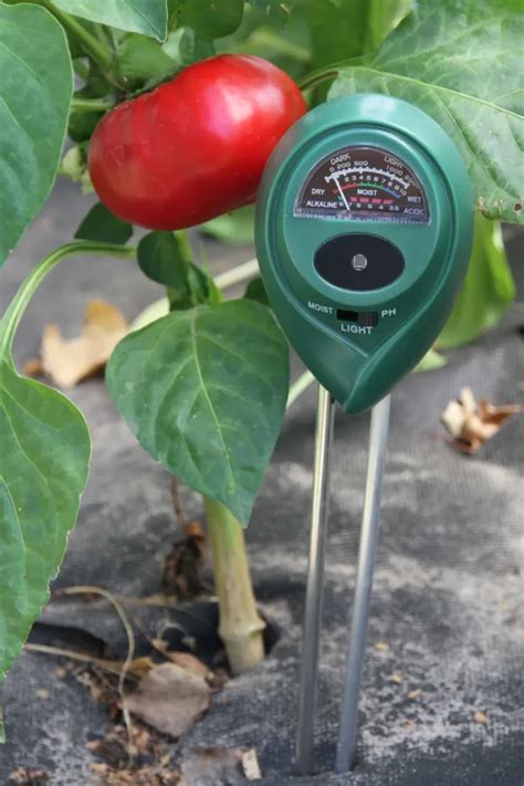 moisture meter for tomato plants|best moisture level for tomatoes.